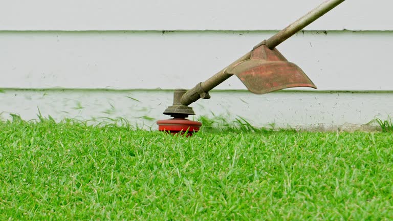 Best Lawn Grading and Leveling  in Kimberly, ID